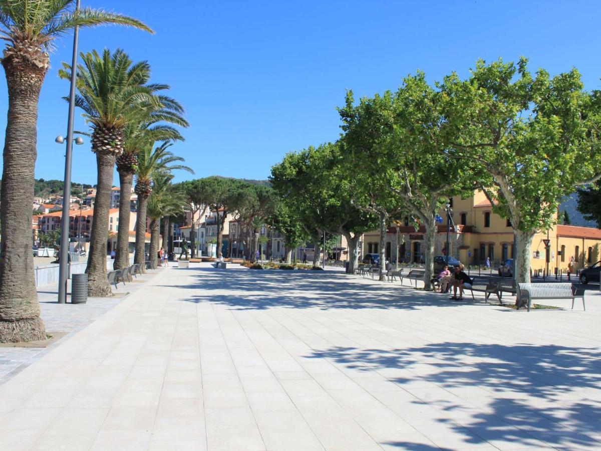 Appart T1 A 250M Plage, Clim, Wifi, Parking, Centre Banyuls - Fr-1-225C-75 Екстер'єр фото